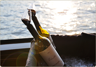 wine bottles and glass
