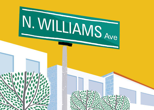 illustrated view of north williams
