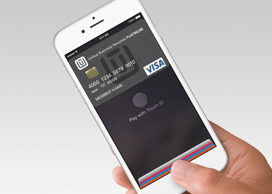 Detail of Apple iPhone using Apple iPAy